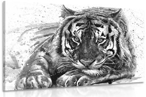 Kép trigris fekete fehérben