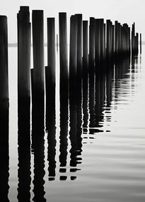 Poszter 39,5x55cm Víz és fa ritmusa