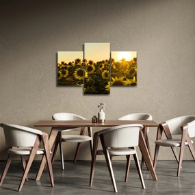 A napraforgó mező képe (90x60 cm)