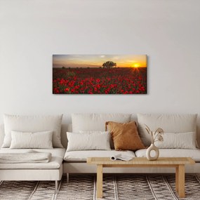 Pipacsos rét képe (120x50 cm)
