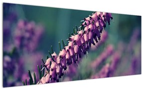 Levandula képe (120x50 cm)