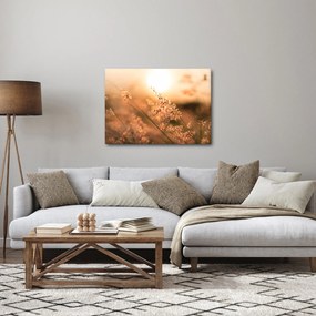 Kép - Fű a napon (70x50 cm)