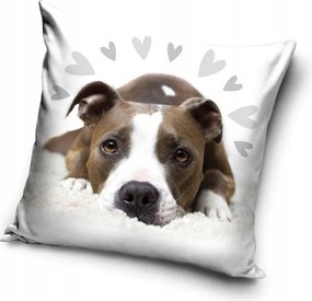 Kutyás Pit Bull Terrier Cute párnahuzat 40x40 cm