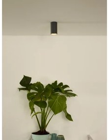 Lucide 09915/06/36 - DELTO LED állítható spot 1xGU10/5W/230V szürke