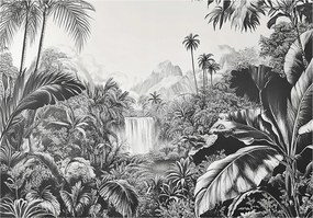 Fotótapéta Dzsungel Fekete-fehér Hálószoba Nappali Tapéta Flizelina 300x210