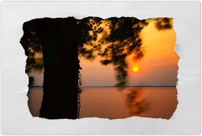 Poszterek 120x80 Fa Napnyugta