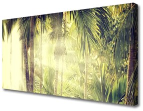 Vászonkép falra Palm Tree Forest Nature 100x50 cm