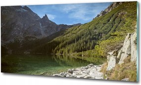 Fotótapéta falra edzett üveg kaszkád 125x50