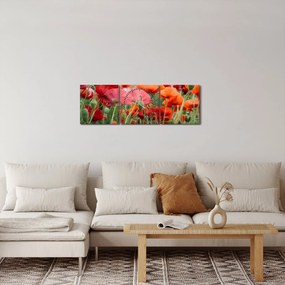 Egy kép a pipacs mezőről (órával) (90x30 cm)