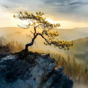 Canvas Vászonkép Lengyelország Hegyek Sokolica Fenyő 80 x 80