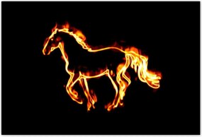 Poszterek 155x105 Tűz paripa