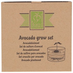 Üveg csíráztató tálka ø 14 cm Avocado – Esschert Design