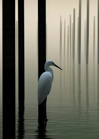 Poszter 50x70cm Köd a vízen