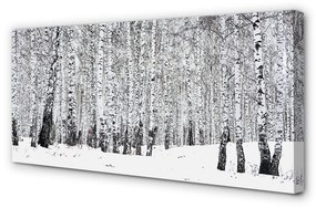 Canvas képek Téli nyírfák 140x70 cm