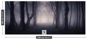 Fotótapéta Sötét erdő 104x70 cm