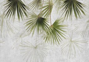 Fotótapéta Flizelin Levelek pálmalevelek gyönyörű növények ragasztó ingyen