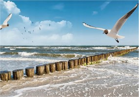 Divatos 3D Fali Tapéta Tengerparti tájkép 208x146 Ragasztóval