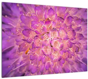 Részletes virágkép (70x50 cm)