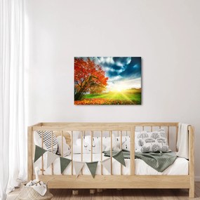 Napsütésben fürdő táj képe (70x50 cm)