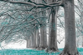 Poszter 91,5x61cm Fák egy sorban türkiz levelek, Assaf Frank