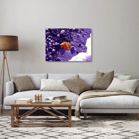 Kép - Tengerpart (üvegen) (70x50 cm)