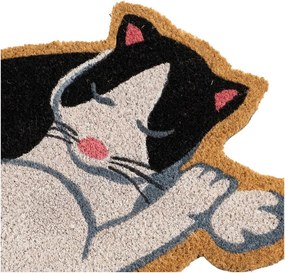 Kókuszrost lábtörlő 40x60 cm Cat – Casa Selección