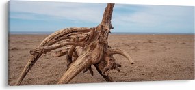 Kép - Áradás a tengeren (120x50 cm)