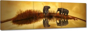 Vászonkép 150x50 Elefántok a vízparton