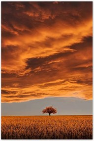 Poszterek 80x120 Narancssárga égbolt