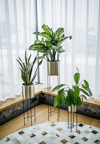 Virágtartó, fekete/arany, JUDE TYP 2