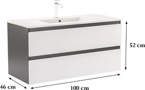 Vario Forte 100 alsó szekrény mosdóval