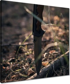 Vászonkép 50x50 Szúrt túlélő kés