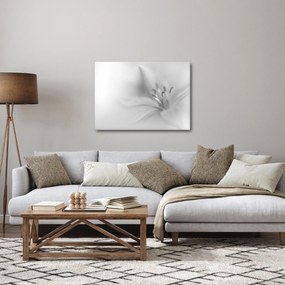 Kép - Delicate Lily (70x50 cm)