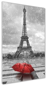 Üvegkép falra Párizsi eiffel-torony osv-68974359