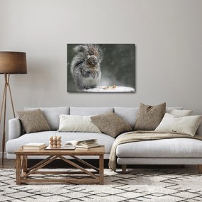 Kép - Mókus télen (70x50 cm)