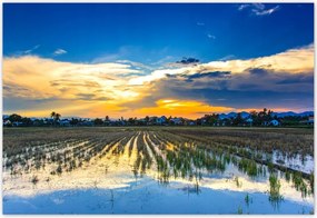 Fotótapéták flizelina 152x104 Kilátás Tájkép