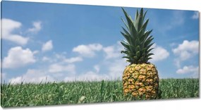 Festmények 115x55 Ananász tájkép