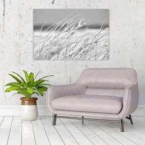 Kép - Strandfű (90x60 cm)