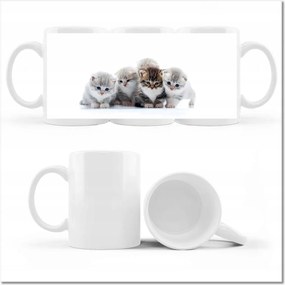 Cica fényképes bögre Cica