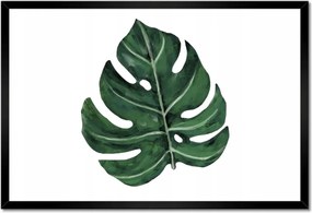 Poszter keretben 60x40 Monstera Zöld levél