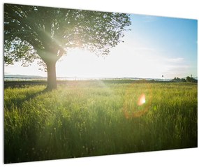 Egy fa képe a mezőn (90x60 cm)
