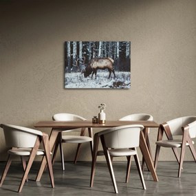 Kép - szarvas télen (70x50 cm)