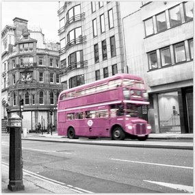 Poszterek 70x70 Púderrózsaszín busz