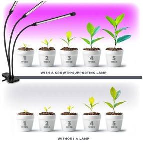 Brilagi-LED Dimmelhető lámpa klipsszel növények termesztésére VITABLOOM 3xLED/10W/230V