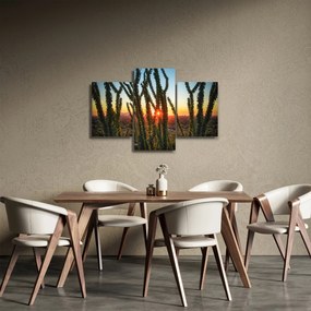 Kép - Növények (90x60 cm)