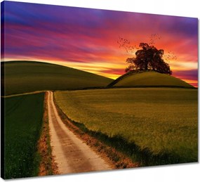 Vászonkép 50x40 Naplemente Hegyek Fa