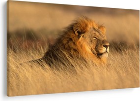 Kép - Etosha Nemzeti Park (90x60 cm)