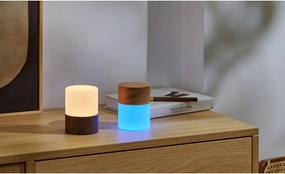 Natúr színű szabályozható asztali lámpa üveg búrával (magasság 10,5 cm) Lemelia – Gingko