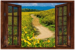 Poszterek 60x40 Falusi tejút