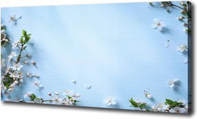 Vászonkép Cseresznyevirágok háttér 100x70 cm